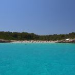 LEONIS2012_∏_Steiner_(84).JPG