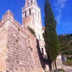 IMG_1784.jpg