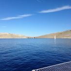 IMG_5278.JPG