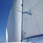 file_0558.jpg