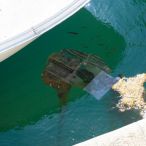 110522_Segeltoern_-_193.jpg