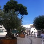 IMG_3057.JPG